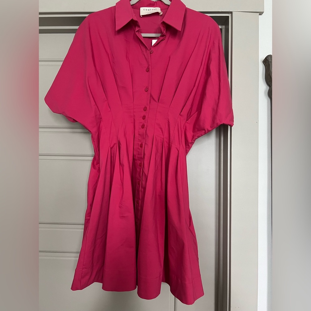 Anthropologie Exquise TOBY pleated Elegant Pink Button-Up Mini Dress L Large